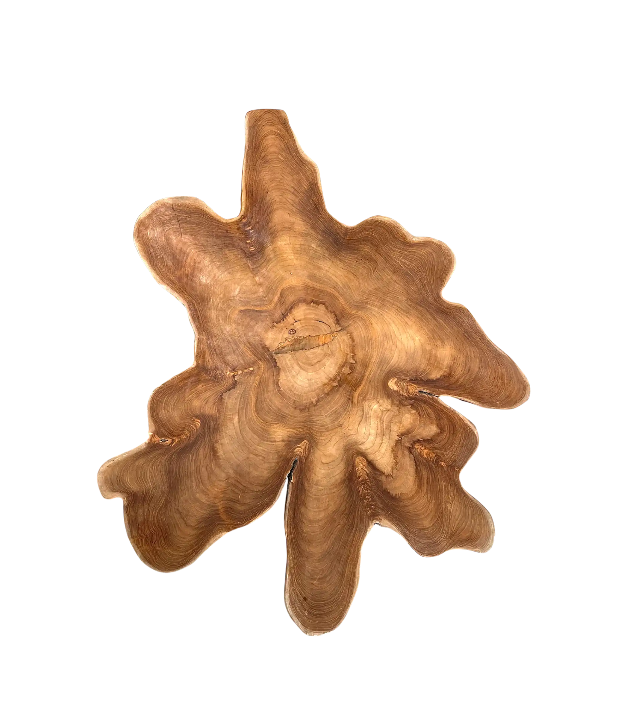 Organic Coffee Table